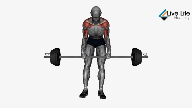 Barbell bent-over row compound back exercises