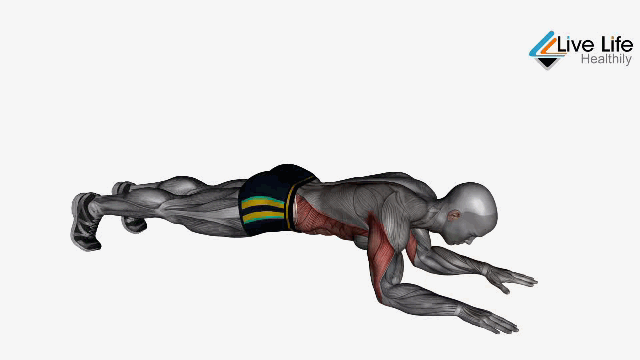 bodyweight tricep extensions