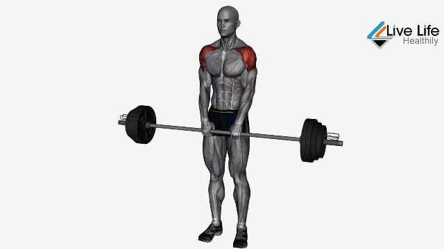 upright row - barbell shoulder exercises